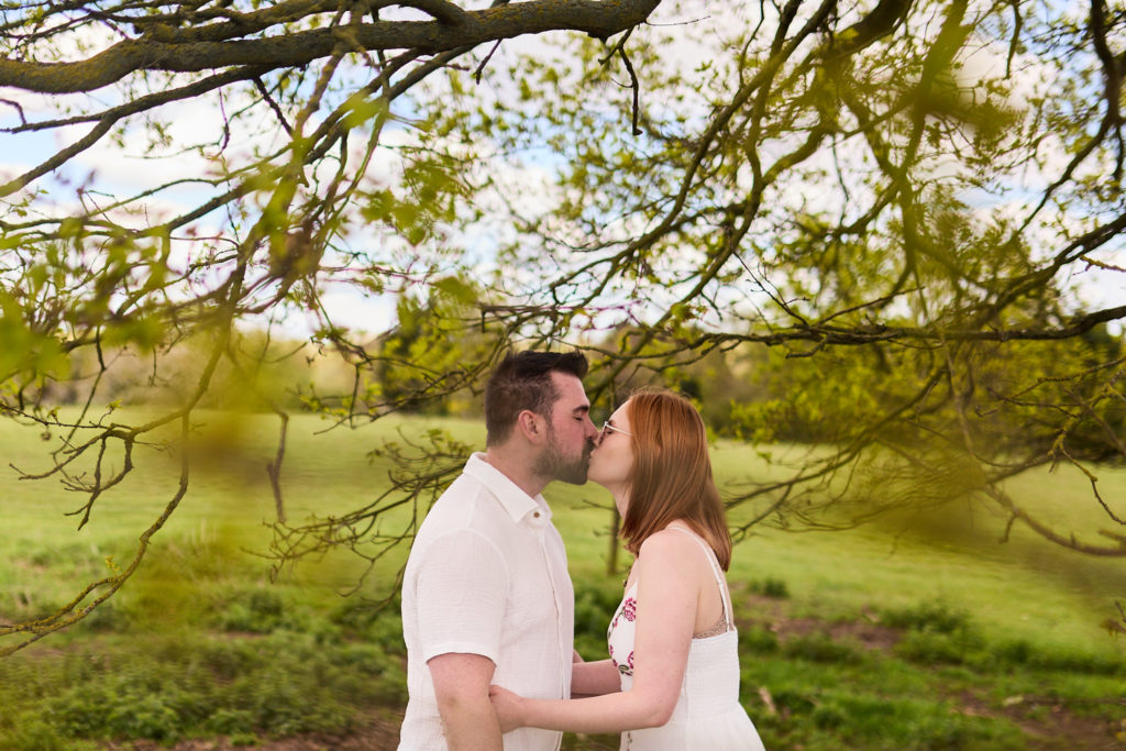 Engaged couple kissing in a field, framed by oak branches