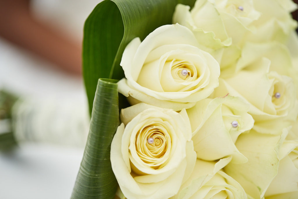 Close-up of a bouquet of cream roses