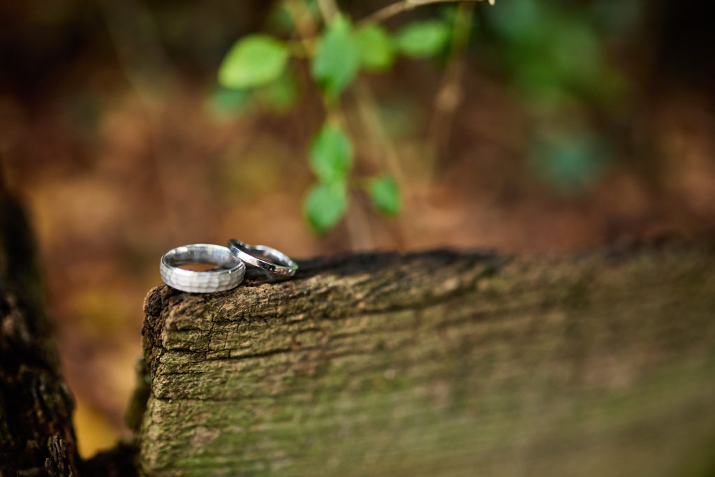 Wedding rings on a mossy log among autumn leaves