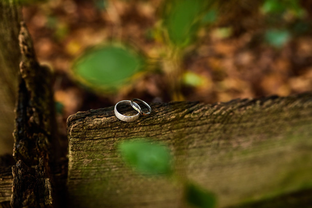Wedding rings on a log with green leaves in the foreground