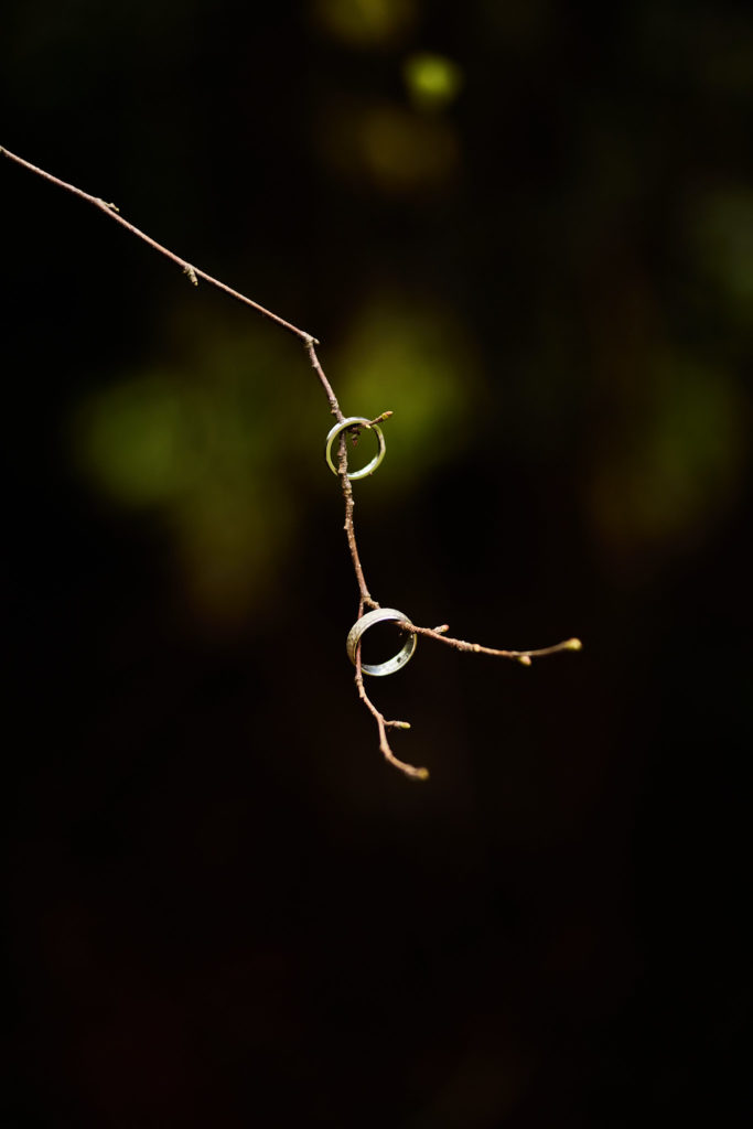 Two wedding rings threaded on a bare twig
