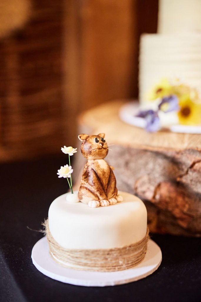 Small wedding cake topped with a model cat
