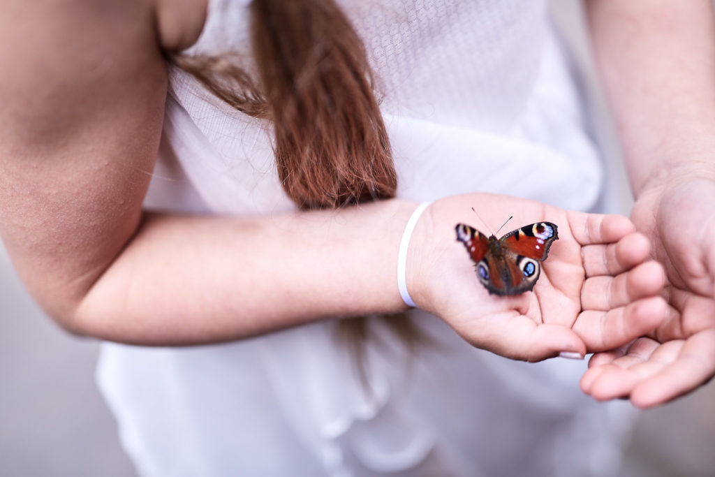 Butterfly resting on a flower girl's open hand