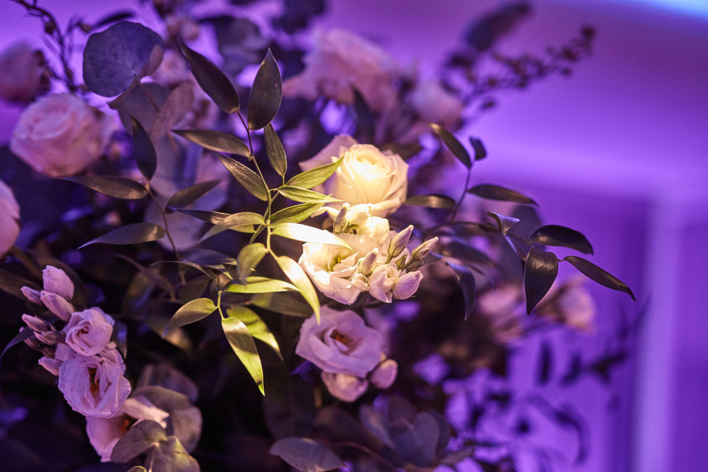 Flower centrepiece of pale roses and foliage under purple lighting