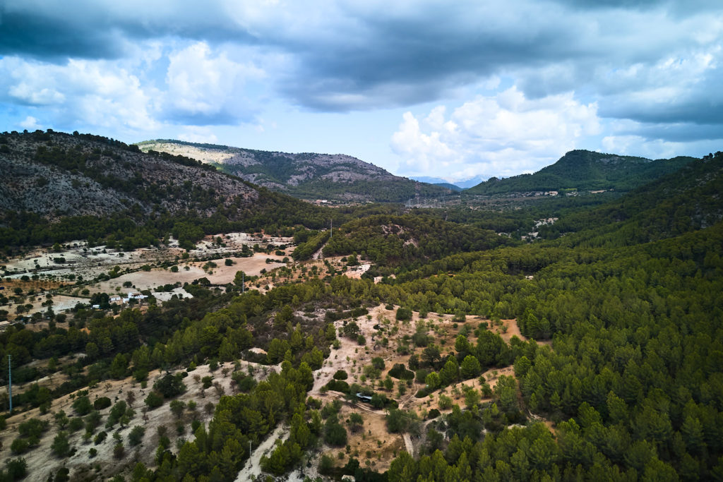 Aerial drone photo of the wooded valley and mountains around Son Boronat in Mallorca