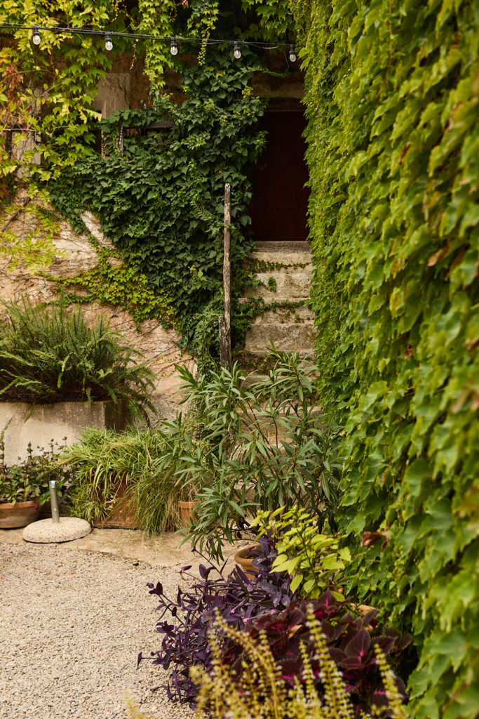 Ivy-covered wall and garden steps at Son Boronat