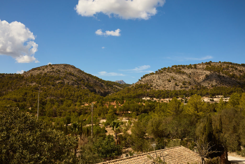 Wooded hills of Mallorca under a blue sky