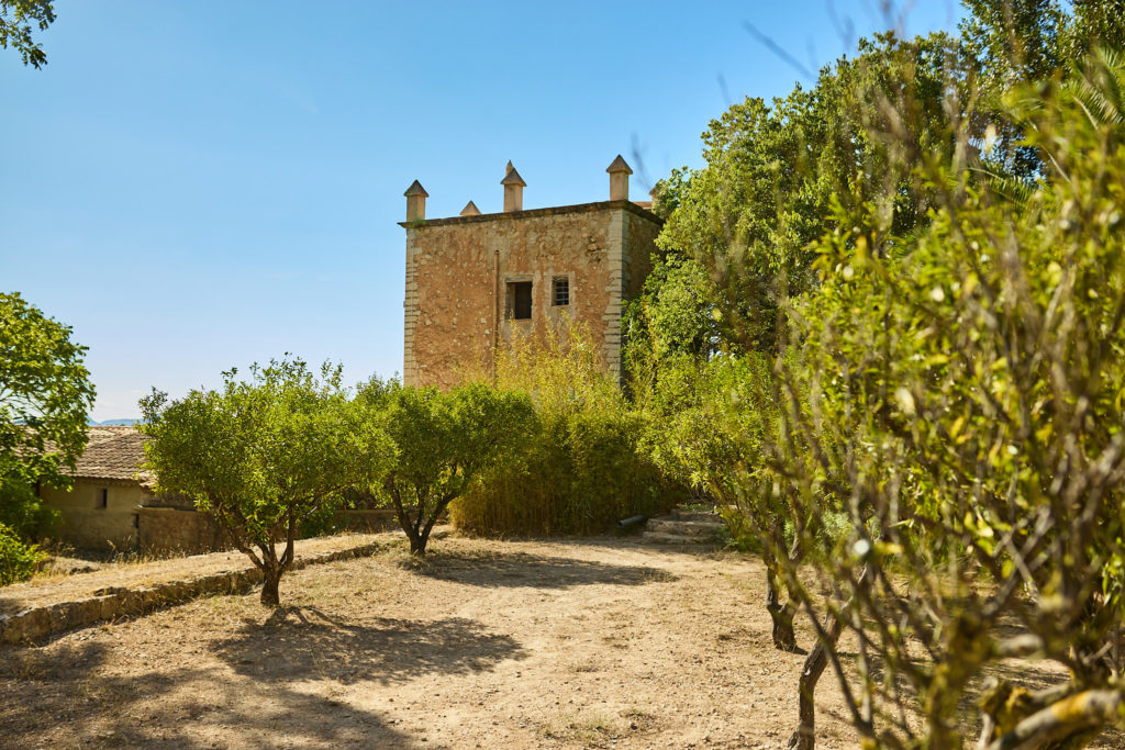 Stone tower at Son Boronat rising above the trees under a blue sky