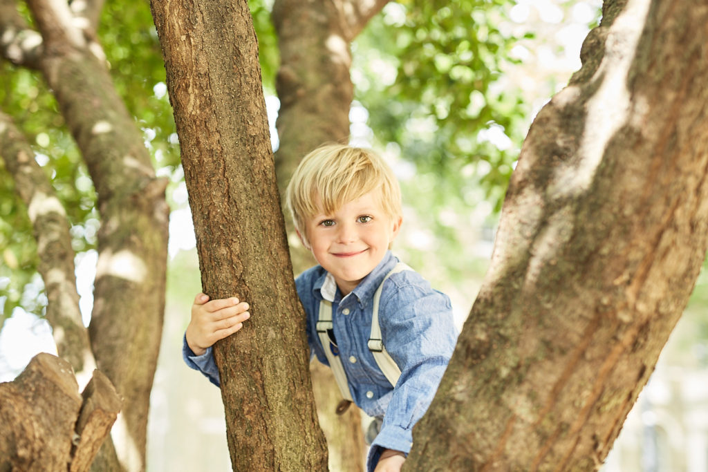 Young boy climbing a tree outside the church