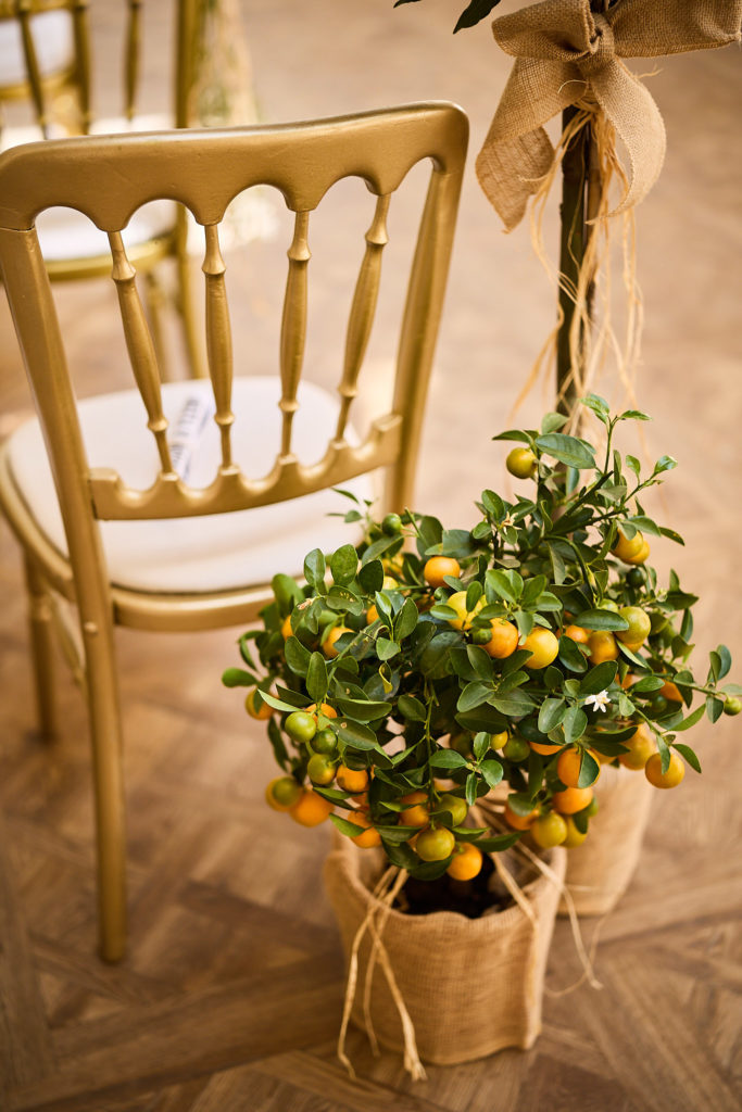 Small orange tree in a hessian-wrapped pot beside a gold ceremony chair